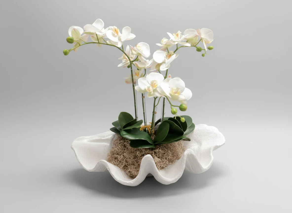 Custom Clam Shell Orchid