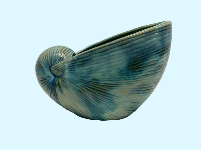 Decorative Shell Container