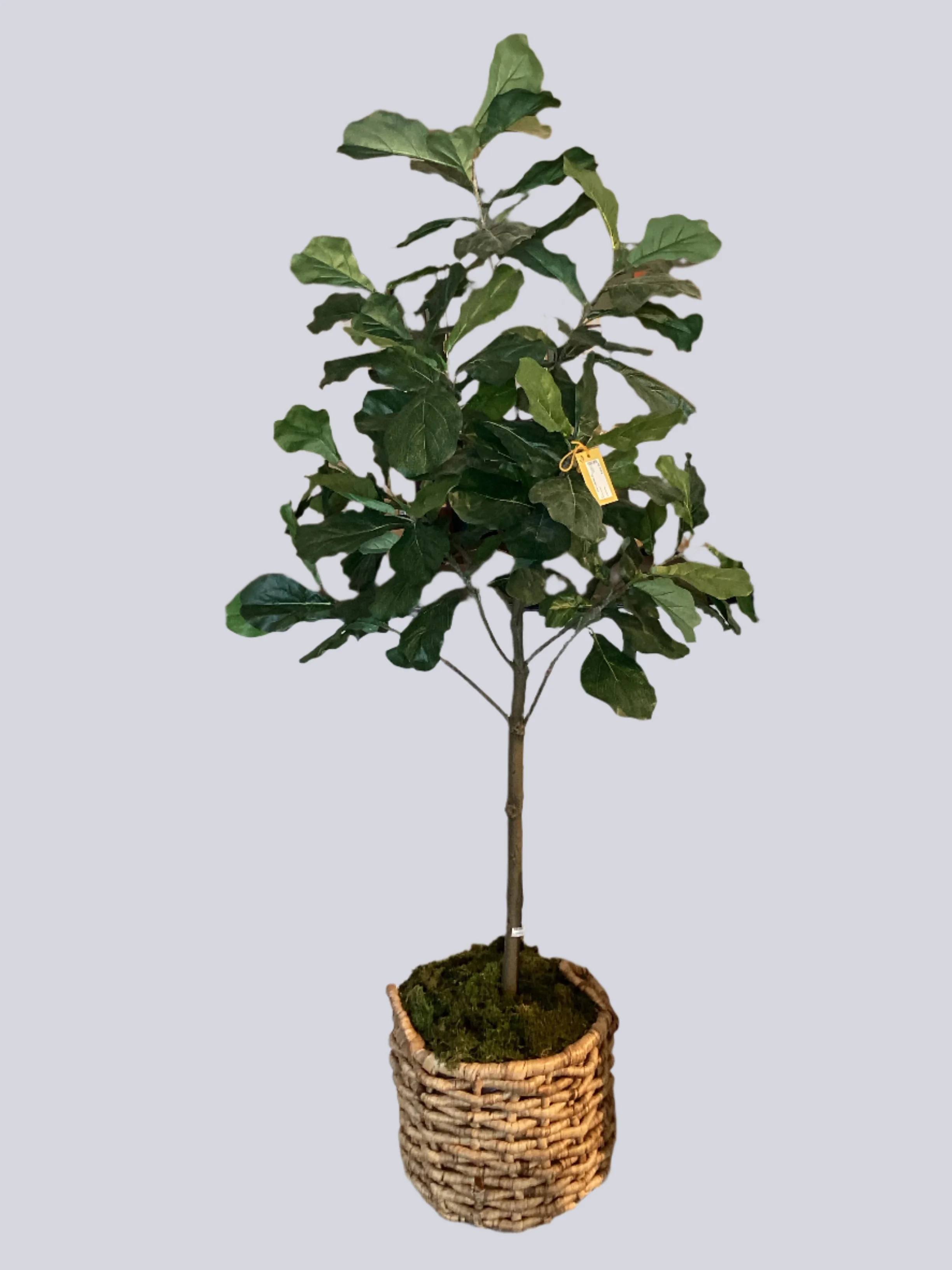 Faux Tree