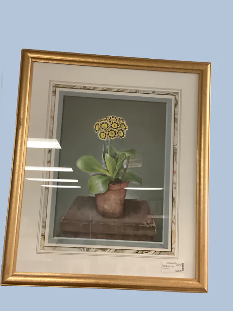 Framed Art Floral