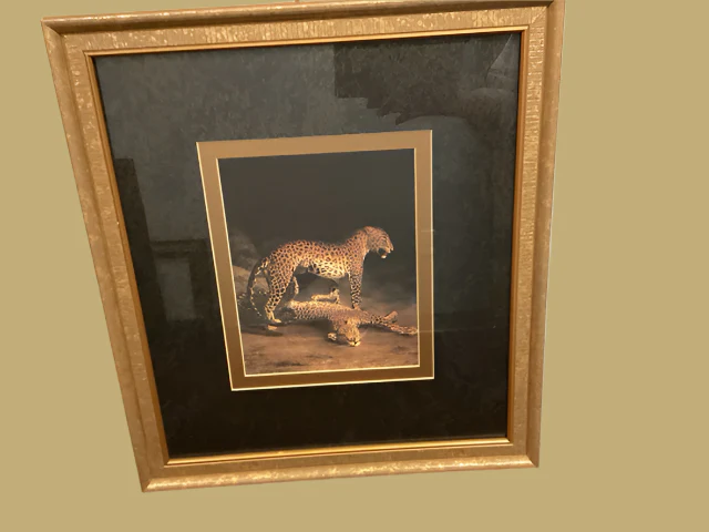 Framed Leopard Print