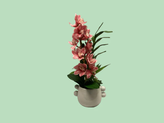 Hot Pink Cymbidium In Vase
