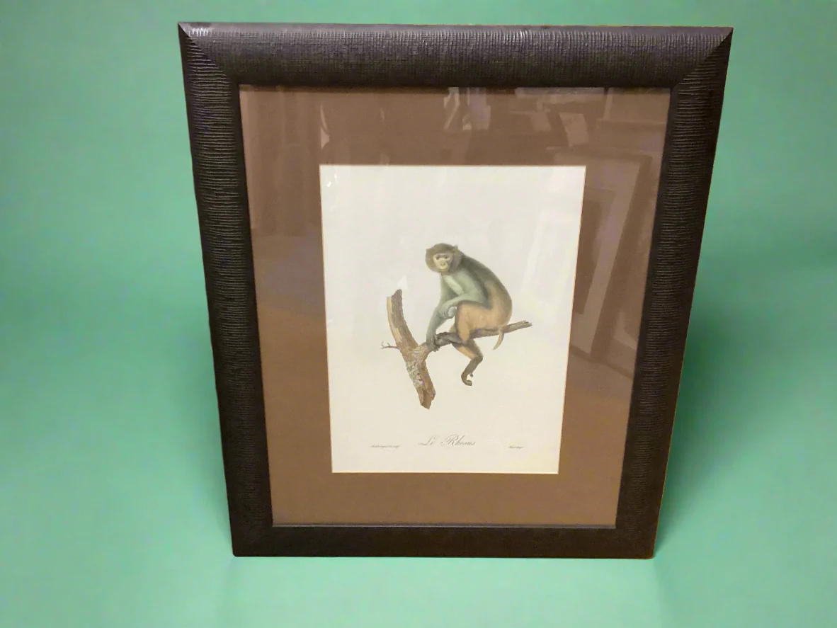 Monkey Print
