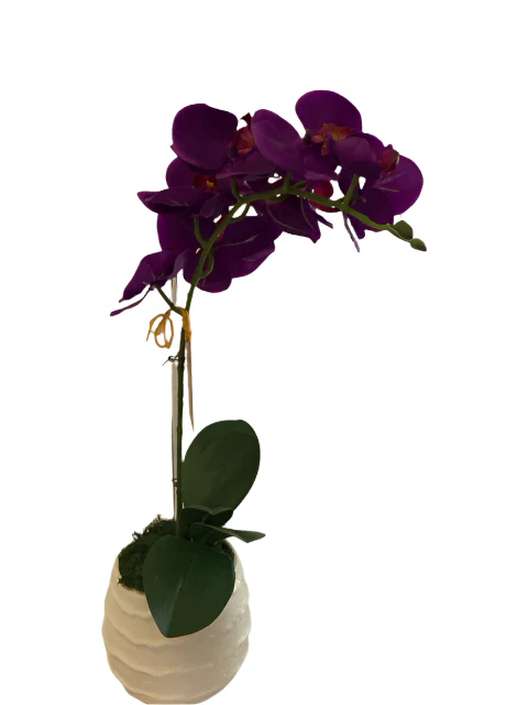 Orchid In White Ruffle Vase - Image 3